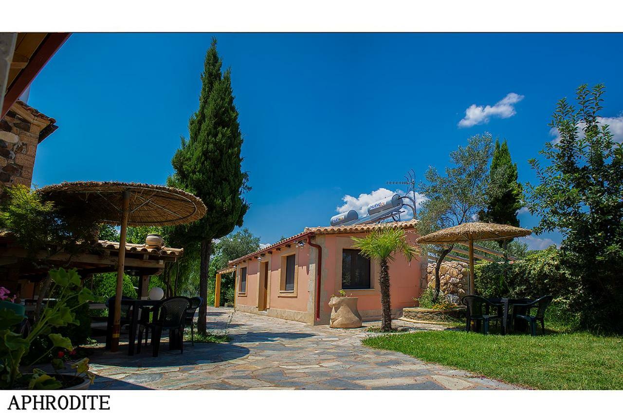 Medusa Gorgon Develikia Exterior photo